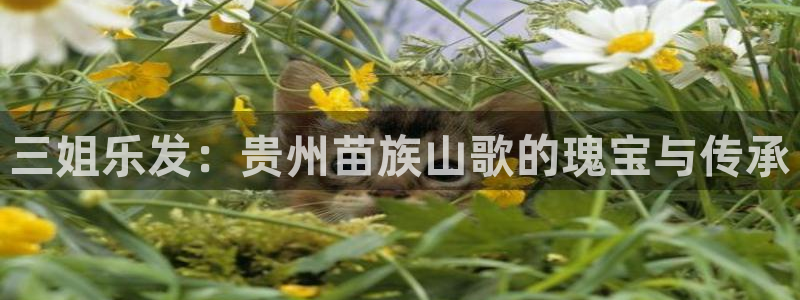 天天中彩app下载