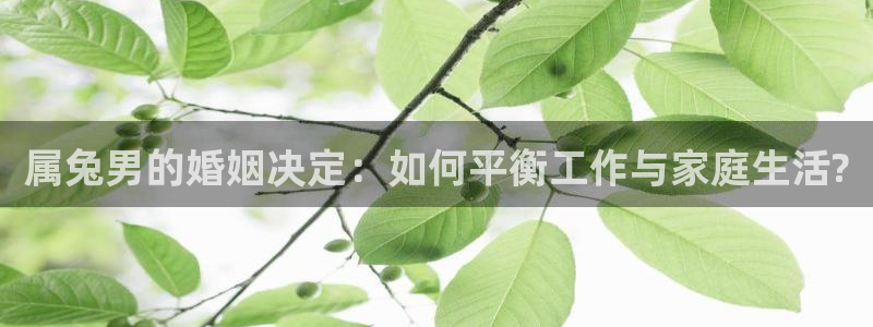 天天中彩app最新版