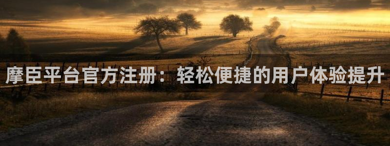 天天彩报1