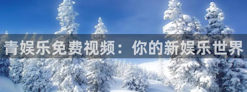 天天购彩app下载