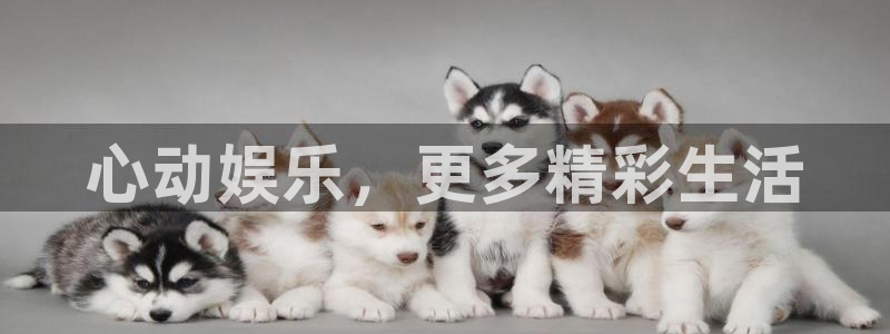 天天市场app下载
