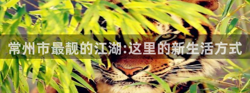 天天彩app