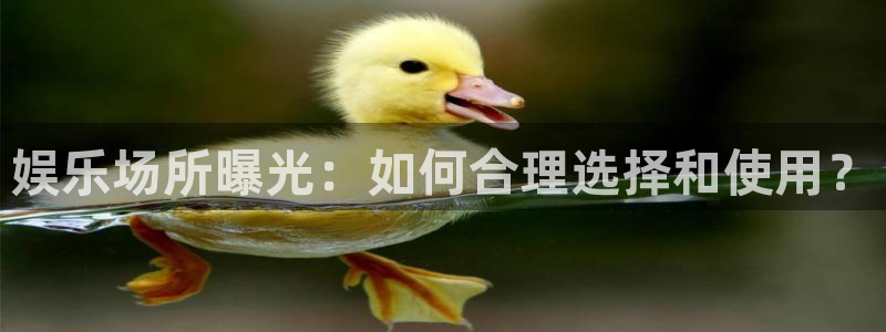 天天商城app