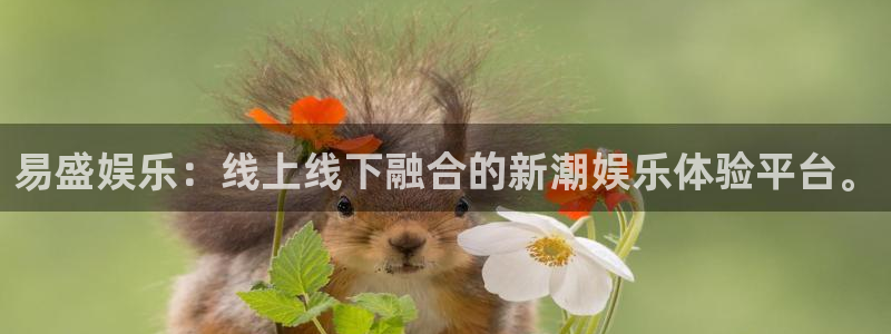 天天乐app下载