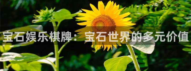 天天购物app下载