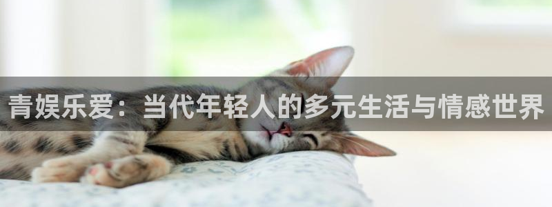 天天app