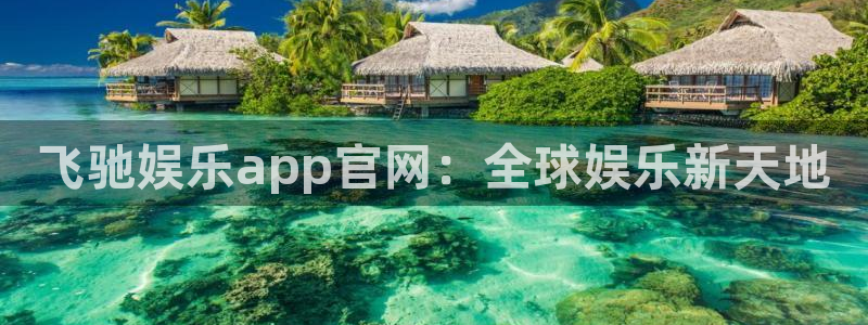 天天看球app官网下载