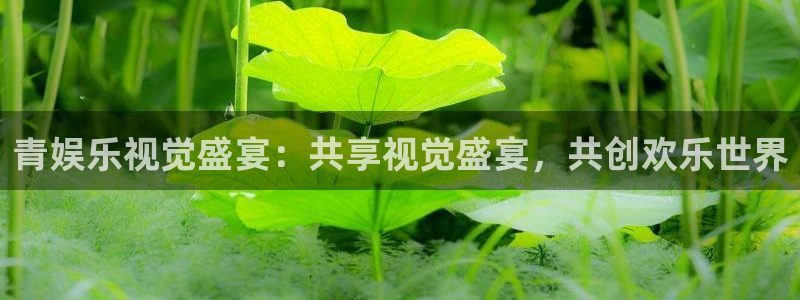 app天天好彩