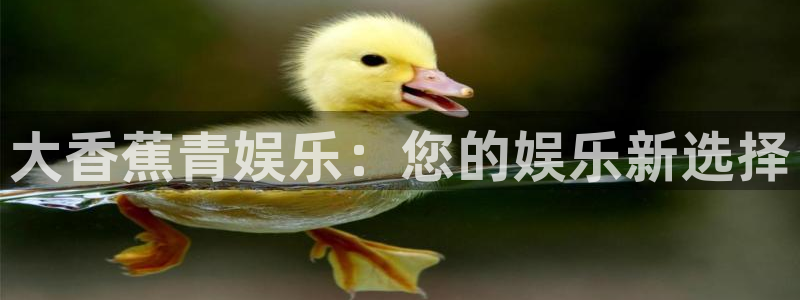 天天看球app官网下载：大香蕉青娱乐：您的娱乐新选择