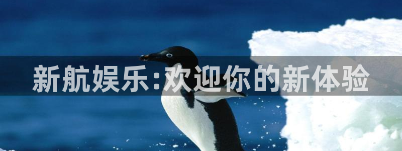 天天乐app下载：新航娱乐:欢迎你的新体验