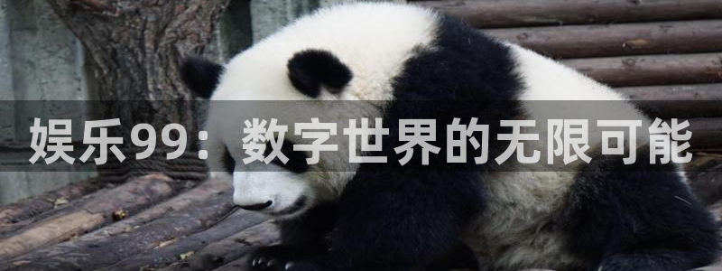 天天购彩官网：娱乐99：数字世界的无限可能