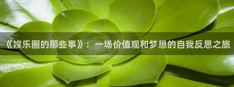 天天购彩welcome：《娱乐圈的那些事》：一场价值观和梦想的自我反思之旅