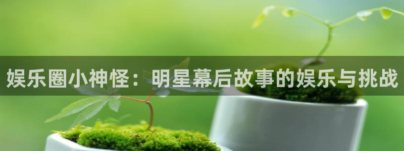 天天中彩app下载：娱乐圈小神怪：明星幕后故事的娱乐与挑战