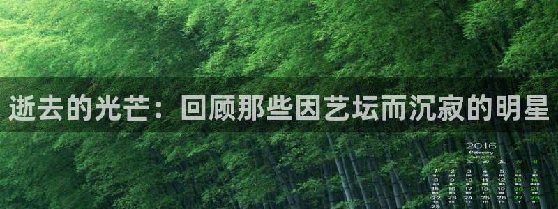 天天app