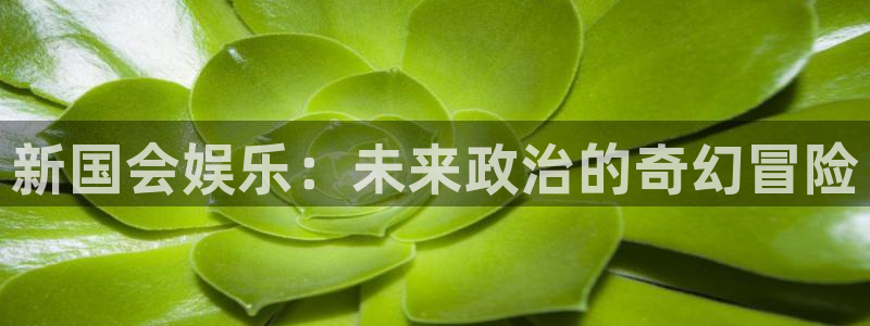 天天购彩