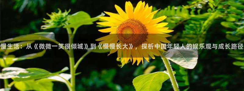 天天好彩app