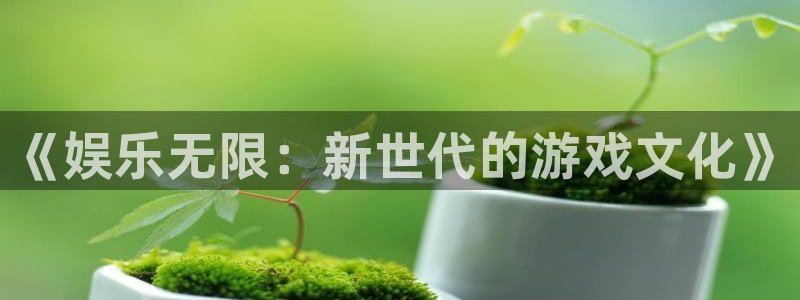app天天好彩：《娱乐无限：新世代的游戏文化》