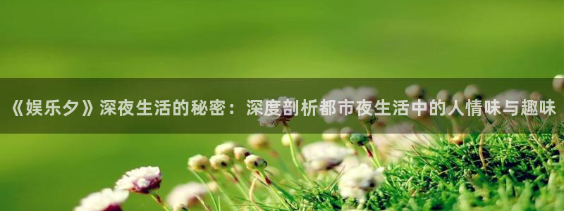 天天app：《娱乐夕》深夜生活的秘密：深度剖析都市夜生活中的人情味与趣味